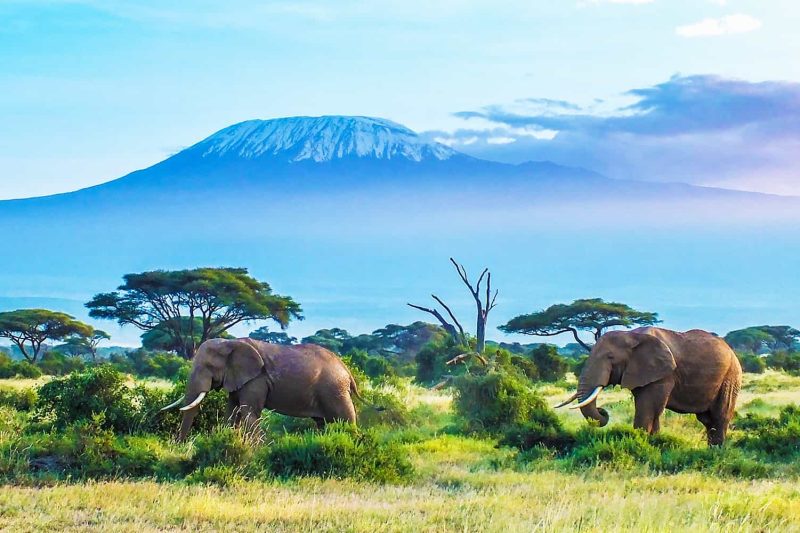 Kilimanjaro Climbing Expedition