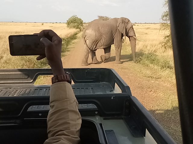 TOUR SAFARIS AT TANZANIA NATIONAL PARKS